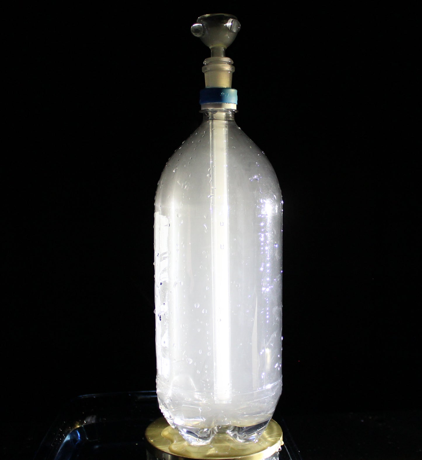 Downstem